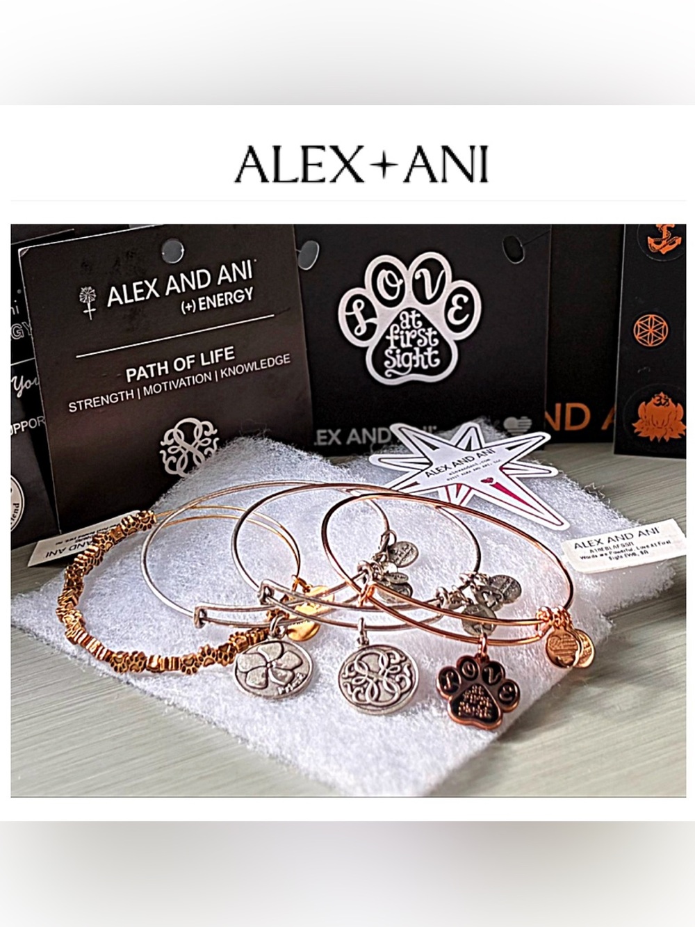 Retired and NWT Alex and Ani Charm Bracelets Lot 4 Gold and Silver Bangle Stack